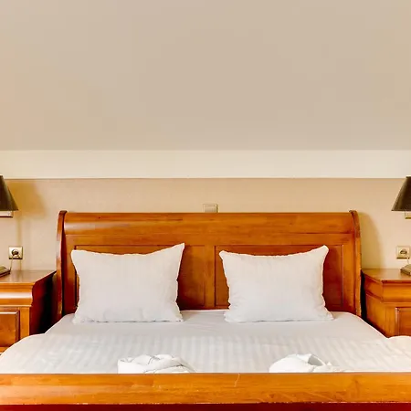 Hotel Diament Arsenal Palace Katowice - 4*