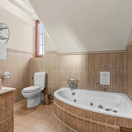 Diament Arsenal Palace Katowice - Hotel