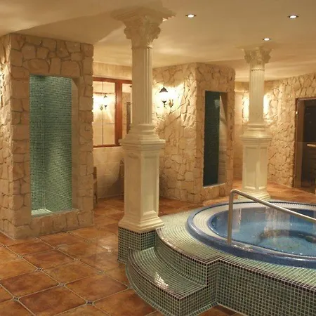 מלון Diament Arsenal Palace Katowice - 4*