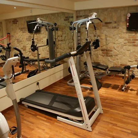 Hotel Diament Arsenal Palace Katowice -