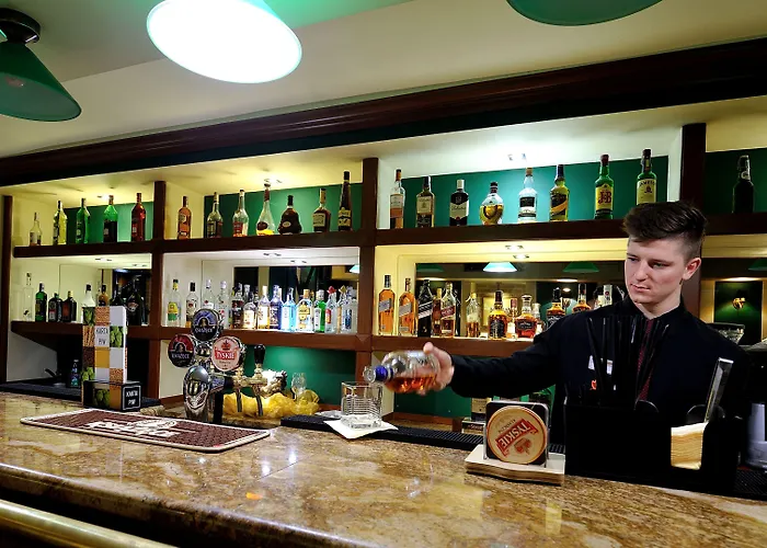 호텔 Diament Arsenal Palace Katowice - 초르조프